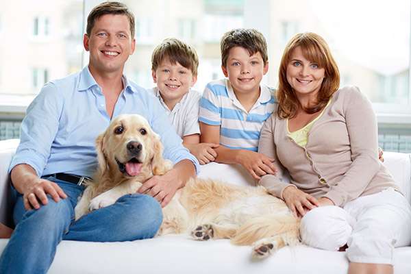 Why Choose One Family Dentist for Everyone in Your Family from Smiles by Design, PC in Huntsville, AL